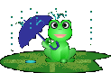  frog in the rain  animation