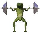  frog weight lifting  animation