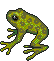 frog croaking   animation