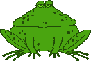  fat frog  animation