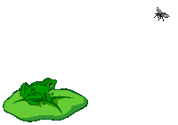  frog catching a fly  animation