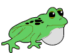 frog croaking  animation