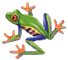 tree frog  animation