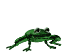 frog  animation