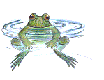 frog in water  animation