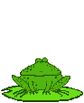  frog hopping animation