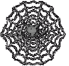 ghost and web  animation