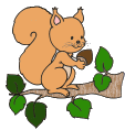 squirrel on a branch animation
