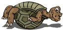  tortoise animation