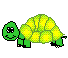  tortoise animation