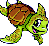  turtle animation