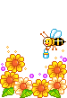 honey bee and flowersw animation