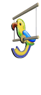 parrot on perch  animations