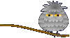 owl  animations