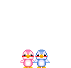 lovebirds animations