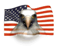 bald eagle and USA flag animations