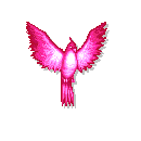 pink flying bird animations