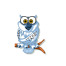 owl animations