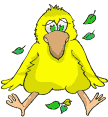 yellow chick  animations
