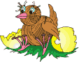 new chick and egg  animations