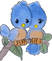 two blue birds  animations