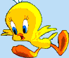 tweety pie  animations