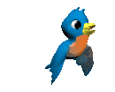 bluebird  animations