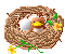 nest with chick animations