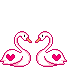 kissing swans animations