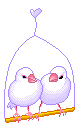 two birds on a perch animations
