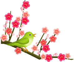 green bird and blossom animations