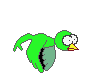 green bird animations