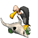 vulture animations