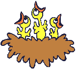 chicks in nest animations