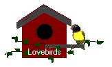 lovebirds animations
