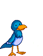 blue bird  animations