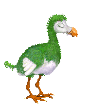 dodo  animations