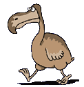 dodo animations