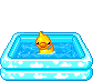 duck in paddling pool animations