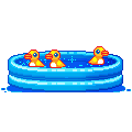 ducks in padding pool animations