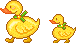 duck animations