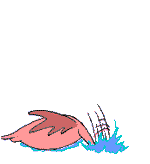 catching a fish  animations