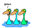 ducks animations