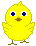 chick  animations