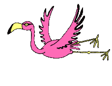 flamingo animation