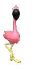flamingo animation