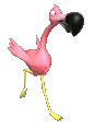 flamingo animation