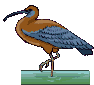 wader  animations