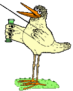 bird with kite  animations