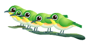 row of green birds animations